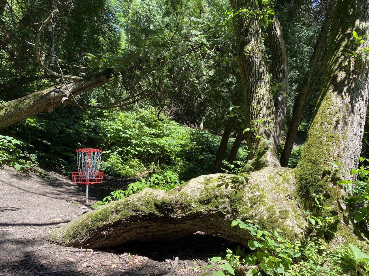 Silver Creek Disc Golf Course in Manitowoc