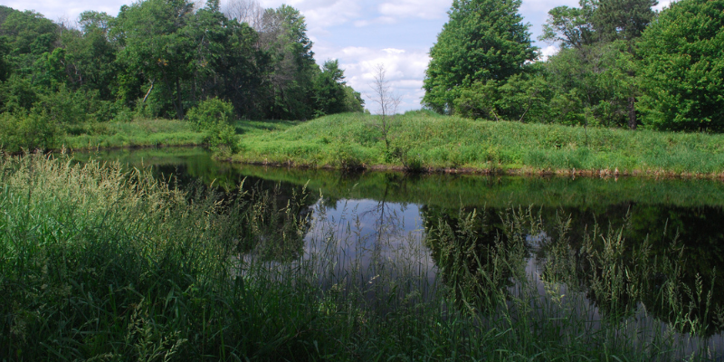 Photo Courtesy of Joshua Mayer