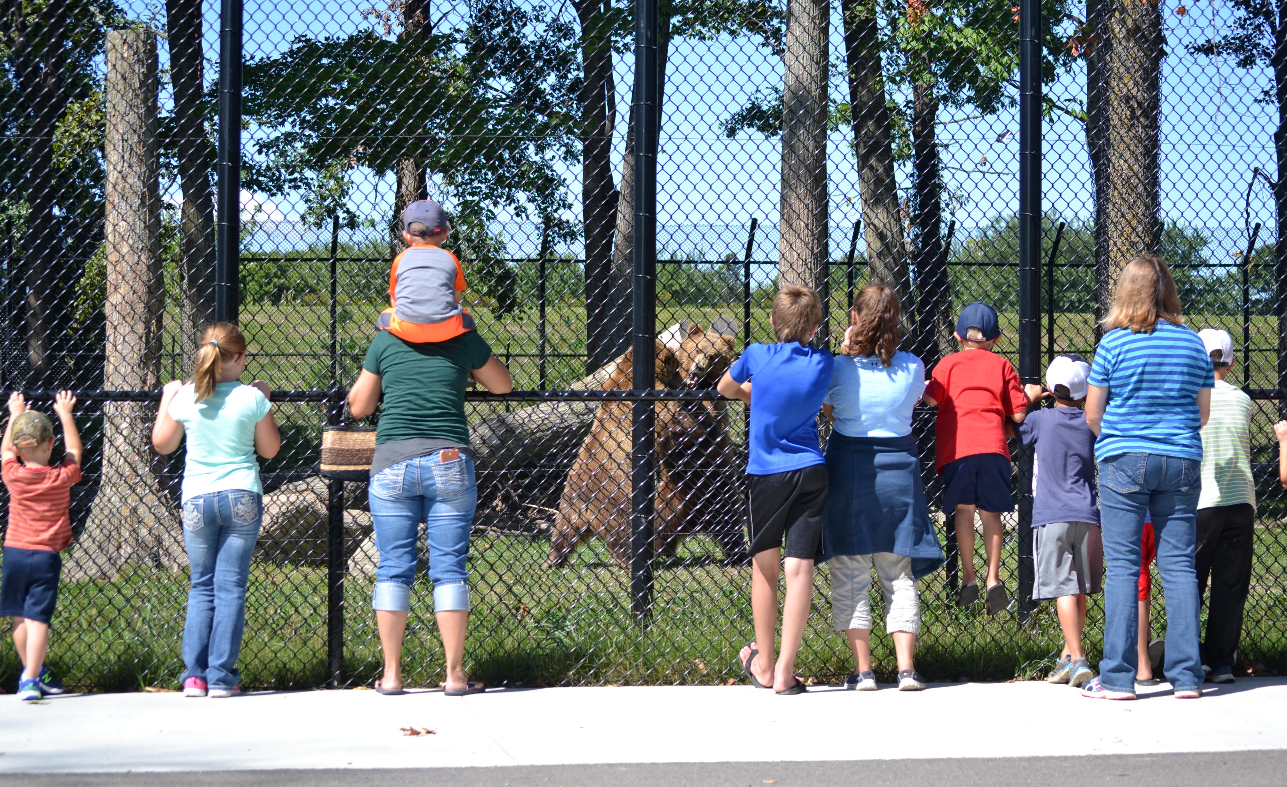 Bear Watchers at Wildwood Zoo