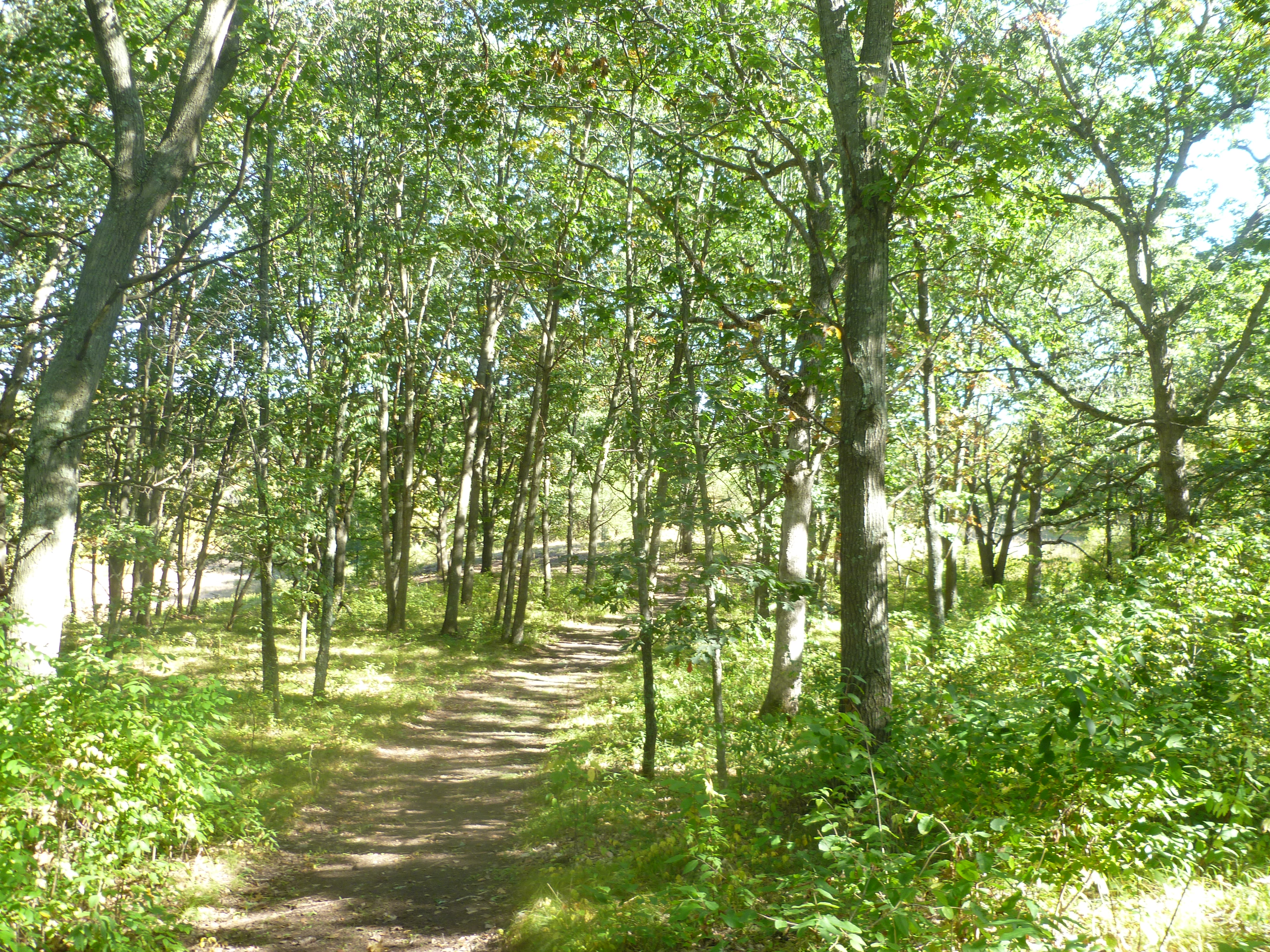 Kusel Lake Park Hiking Trail