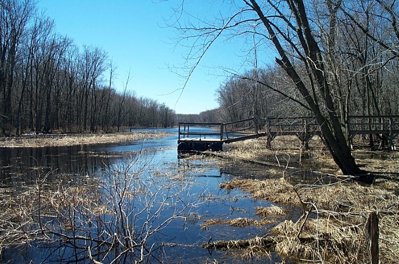 Pond Platform in Spring