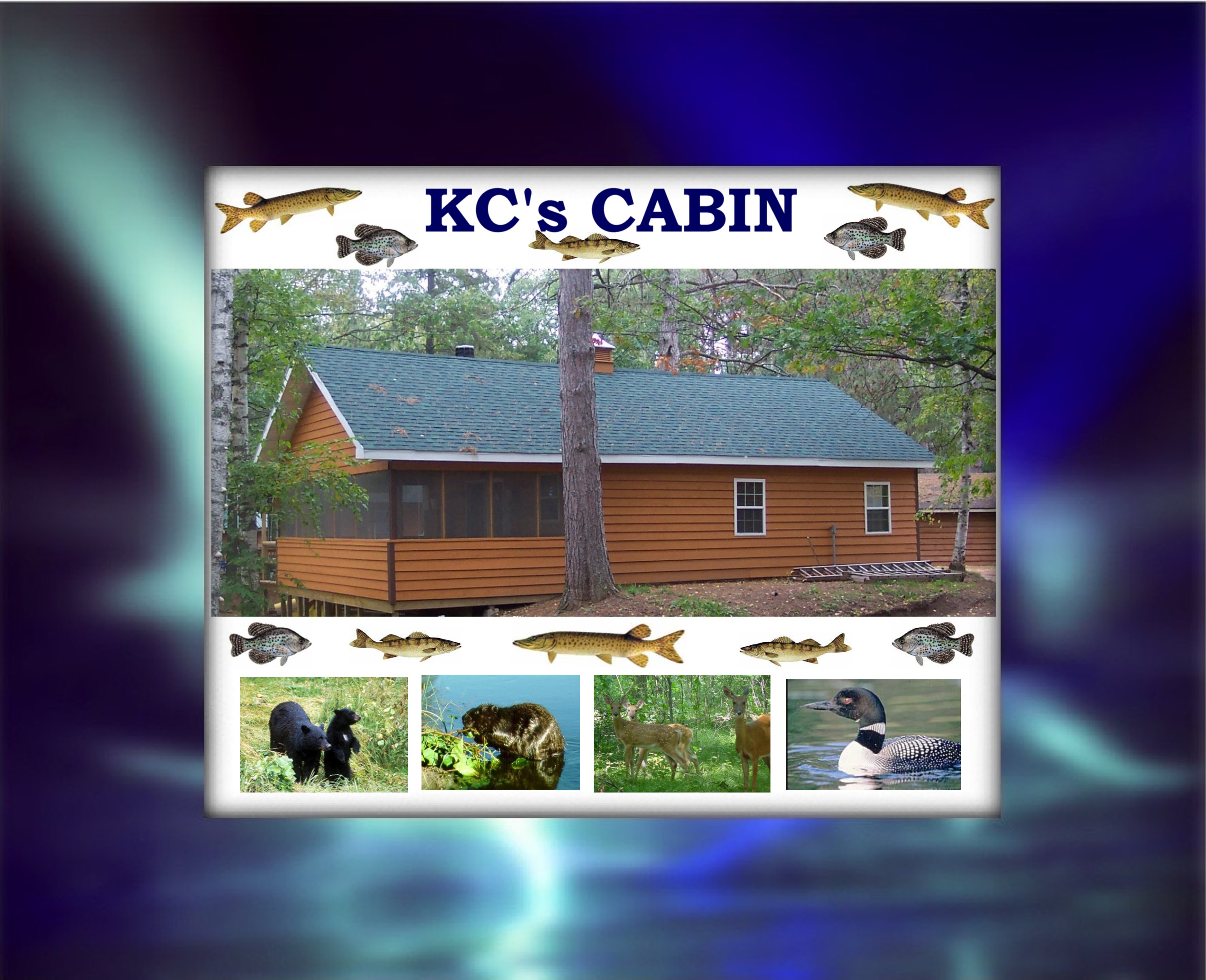Enjoy your vacation at our cabin!