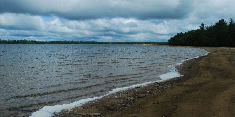 Photo Courtesy of Joshua Mayer