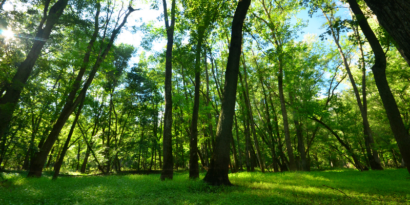 Photo Courtesy of Joshua Mayer