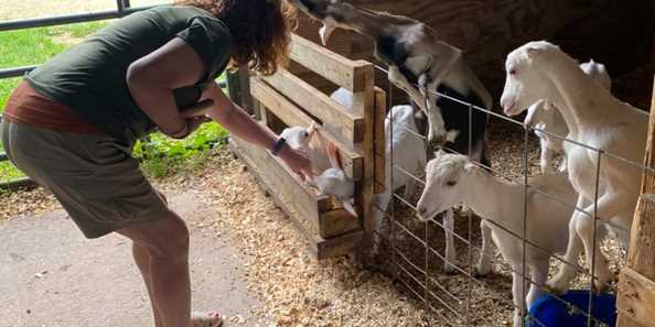Hands-on experiences with farm animals.