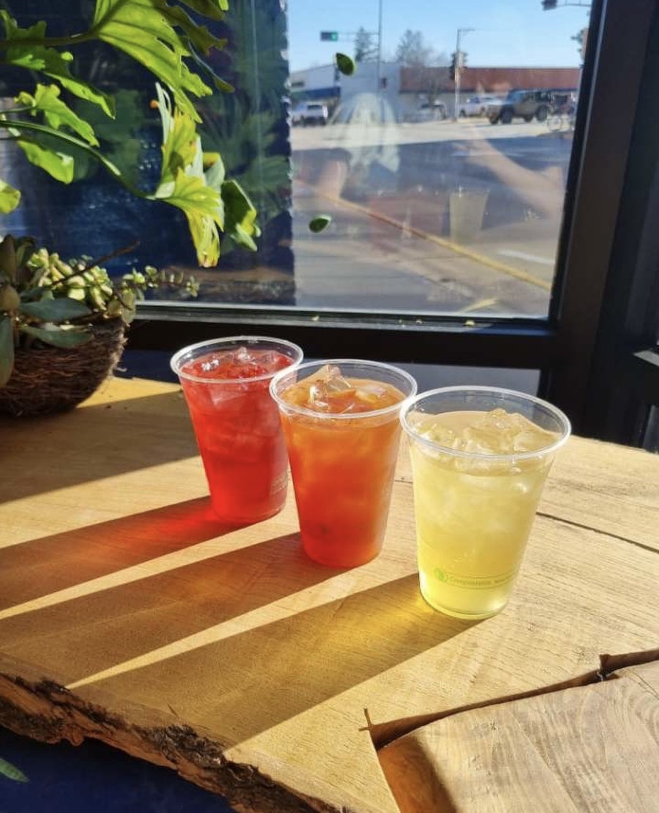 Three colorful drinks in the window at Magpie Gelato
