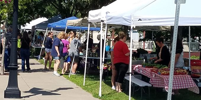 Over 13 local vendors provide fresh produce, cut flowers, hanging baskets, baked goods, jellies/jams and so much more.