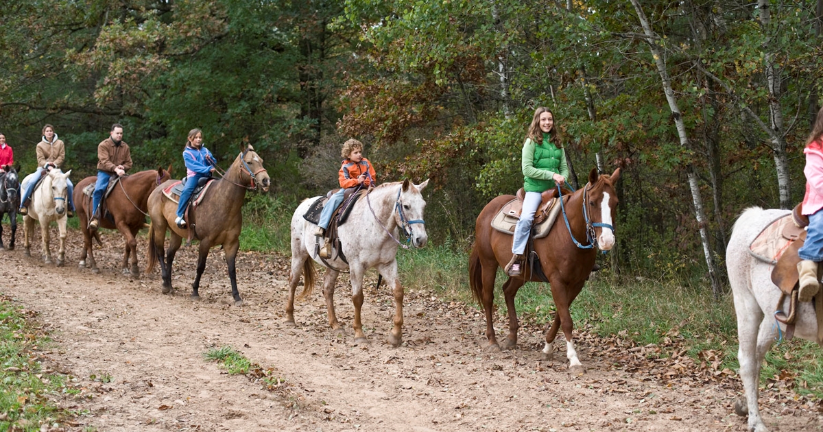 Red Ridge Ranch Riding Stable | Mauston | Travel Wisconsin