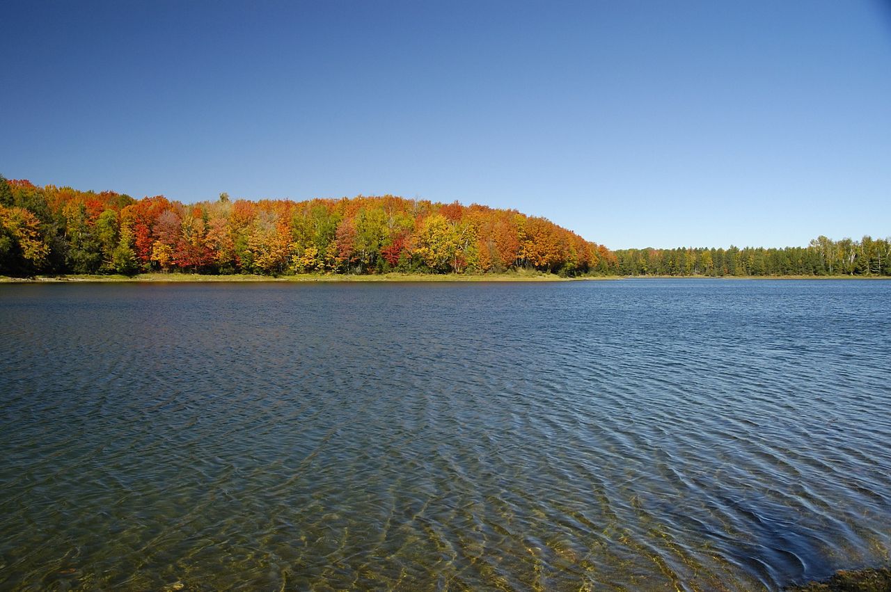 Roach Lake