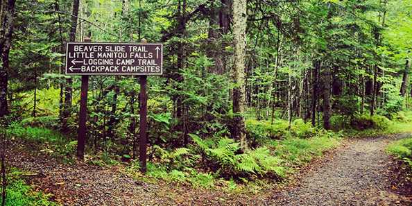 Pattison State Park is home to about nine miles of hiking trails. Photo by Anya Russom.