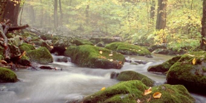 Jinsiy aloqa fotosuratlari, qopol jinsiy aloqa, jinni suratlar Porno sanoati gozalliklari reytingi