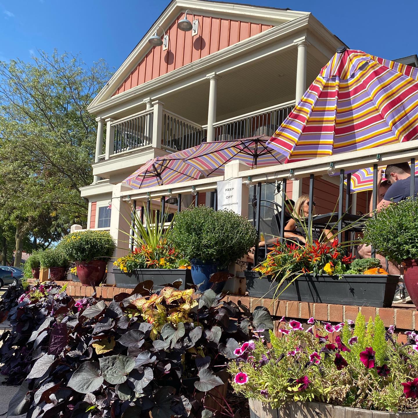 Summer dining alfresco at Barrique