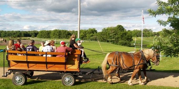 Hay wagon ride pulled by Daisy and Dixie for your events.