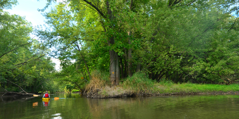 Photo Courtesy of Joshua Mayer