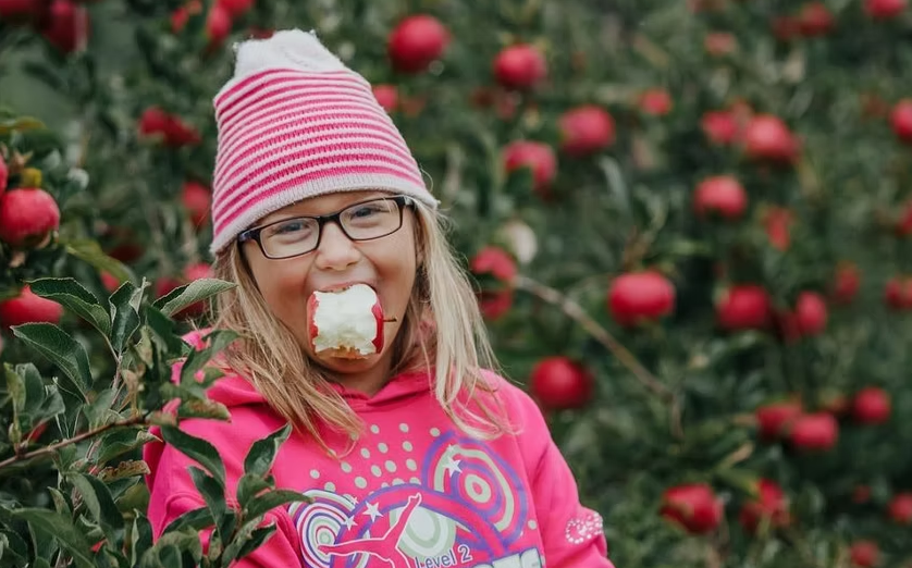 Girl Eating Apple at Lapacek's Orchard