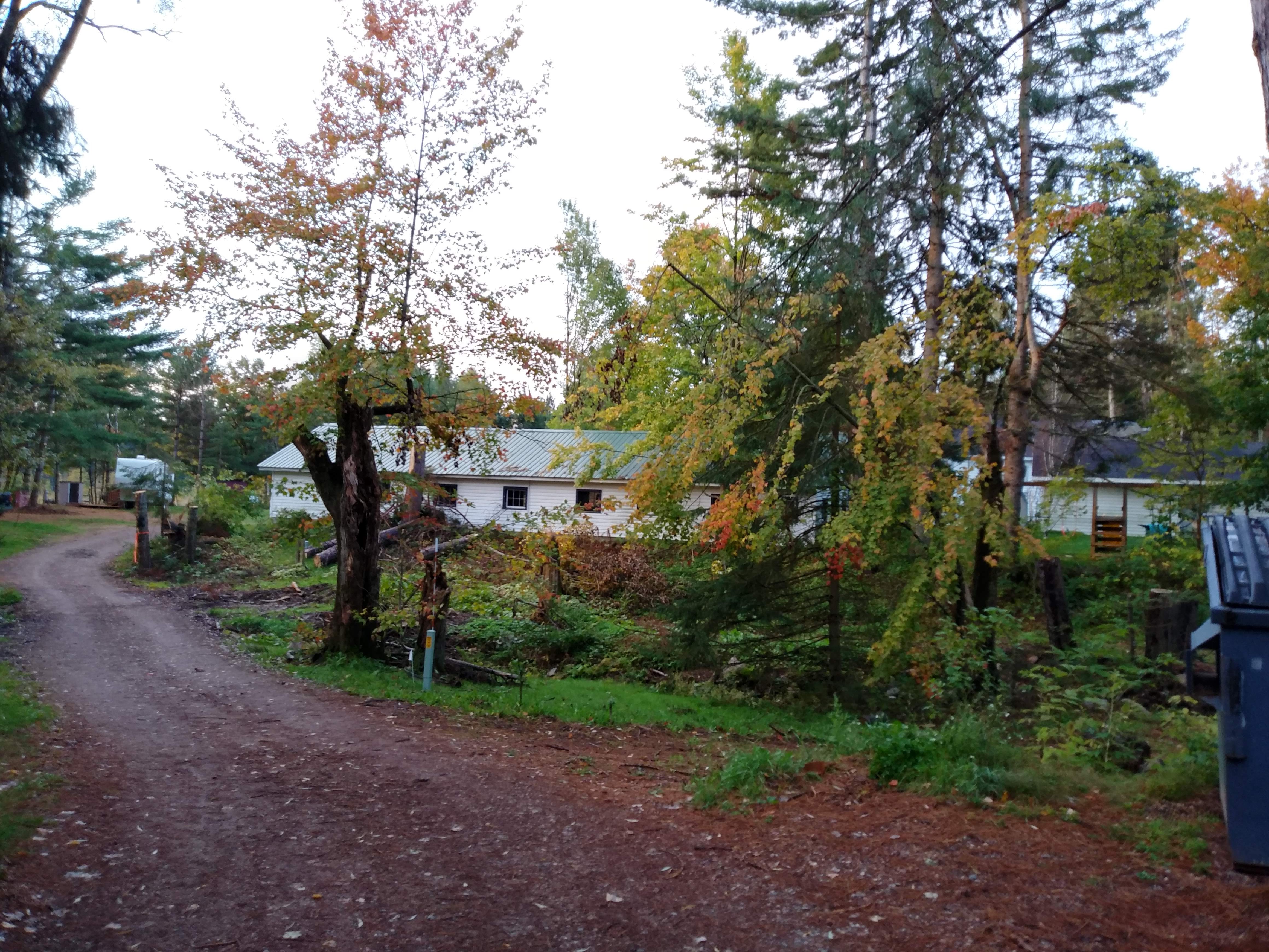 A narrow dirt road winds through a wooded area filled with colorful fall foliage. Small cabins or outbuildings with green and dark roofs are partially visible through the trees. The setting evokes a quiet, rustic campground tucked within the forest.