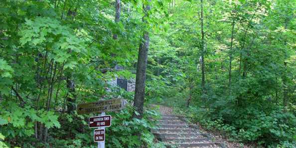 Trail to tower on Timm&#39;s Hill