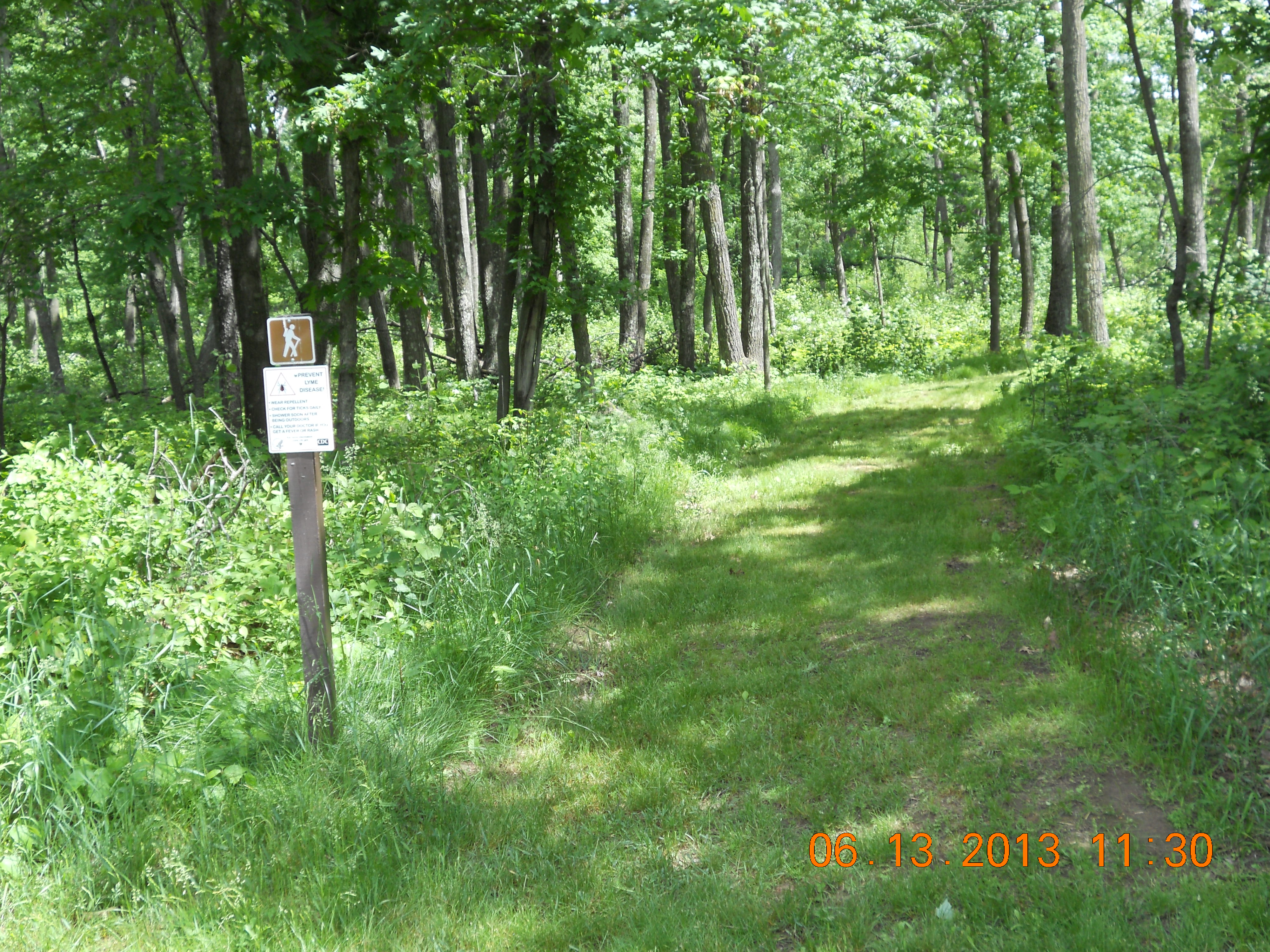 Mt Morris hiking trail