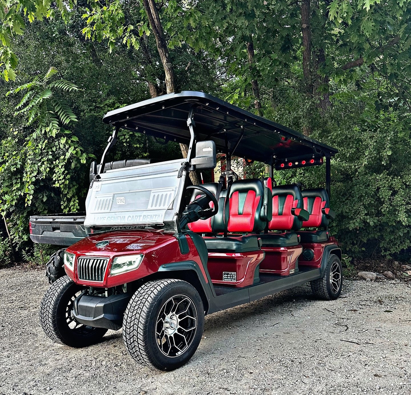 Multiple person rental cart