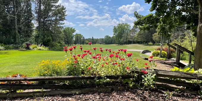 There are pops of color all over the course. Red, Purple, Yellow, Pinks and of course lots of green all around. Come and see the beautiful landscaping.