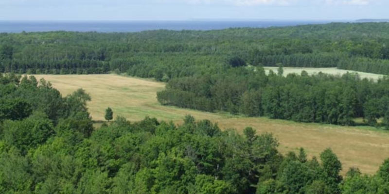 View from the top of the tower!