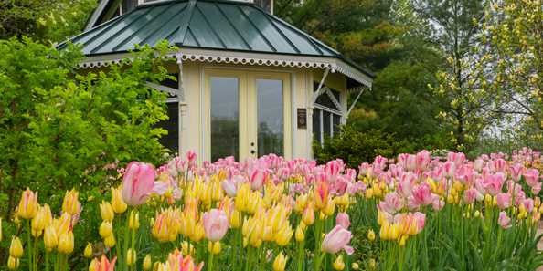 The Garden showcases more than 300,000 spring blooms each year.