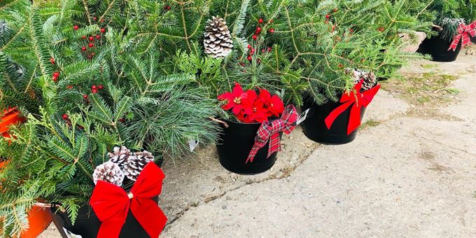 Porch Pots, wreaths, swag, garland and more available