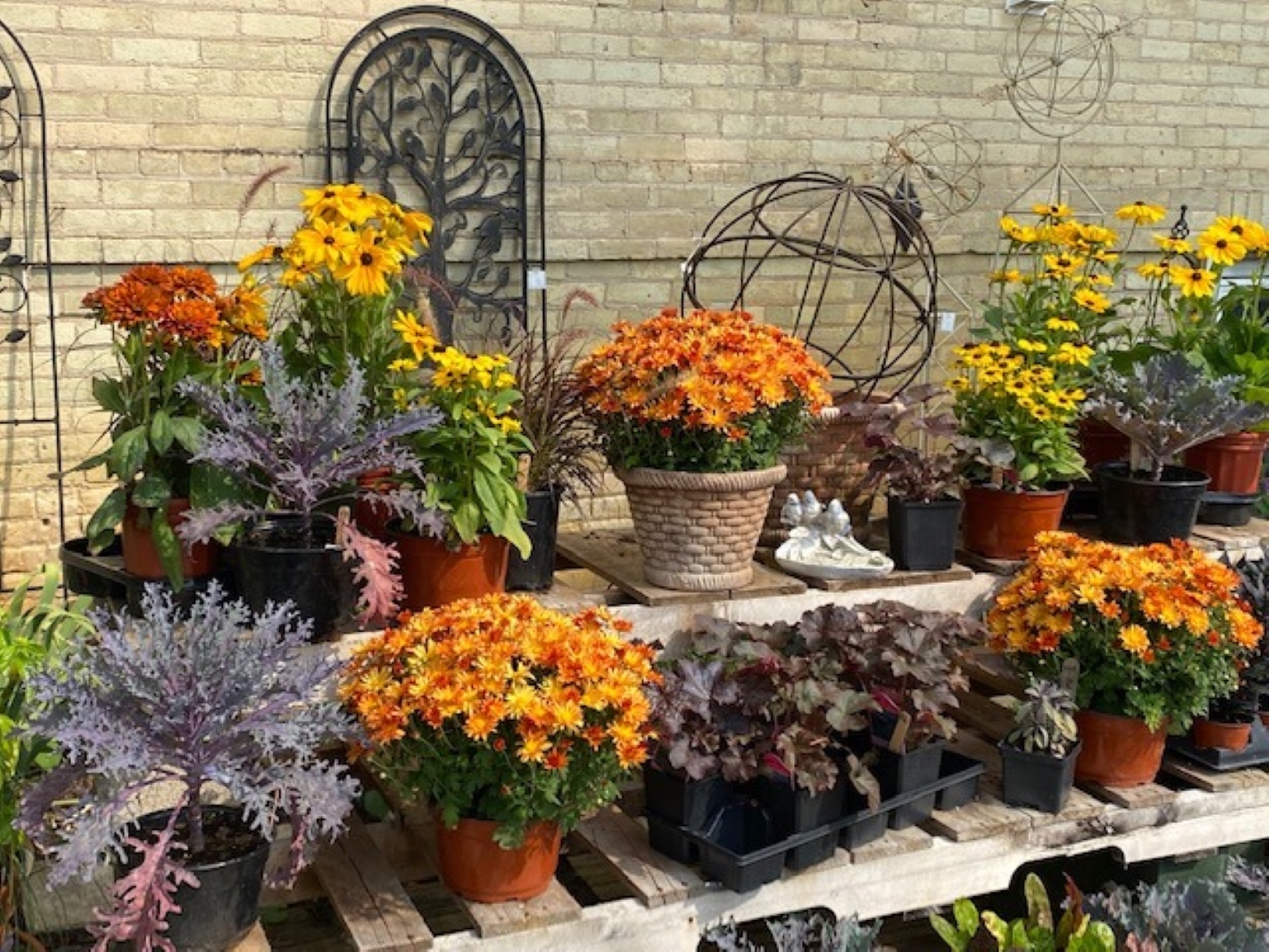 Flowers for sale at Bella Botanica