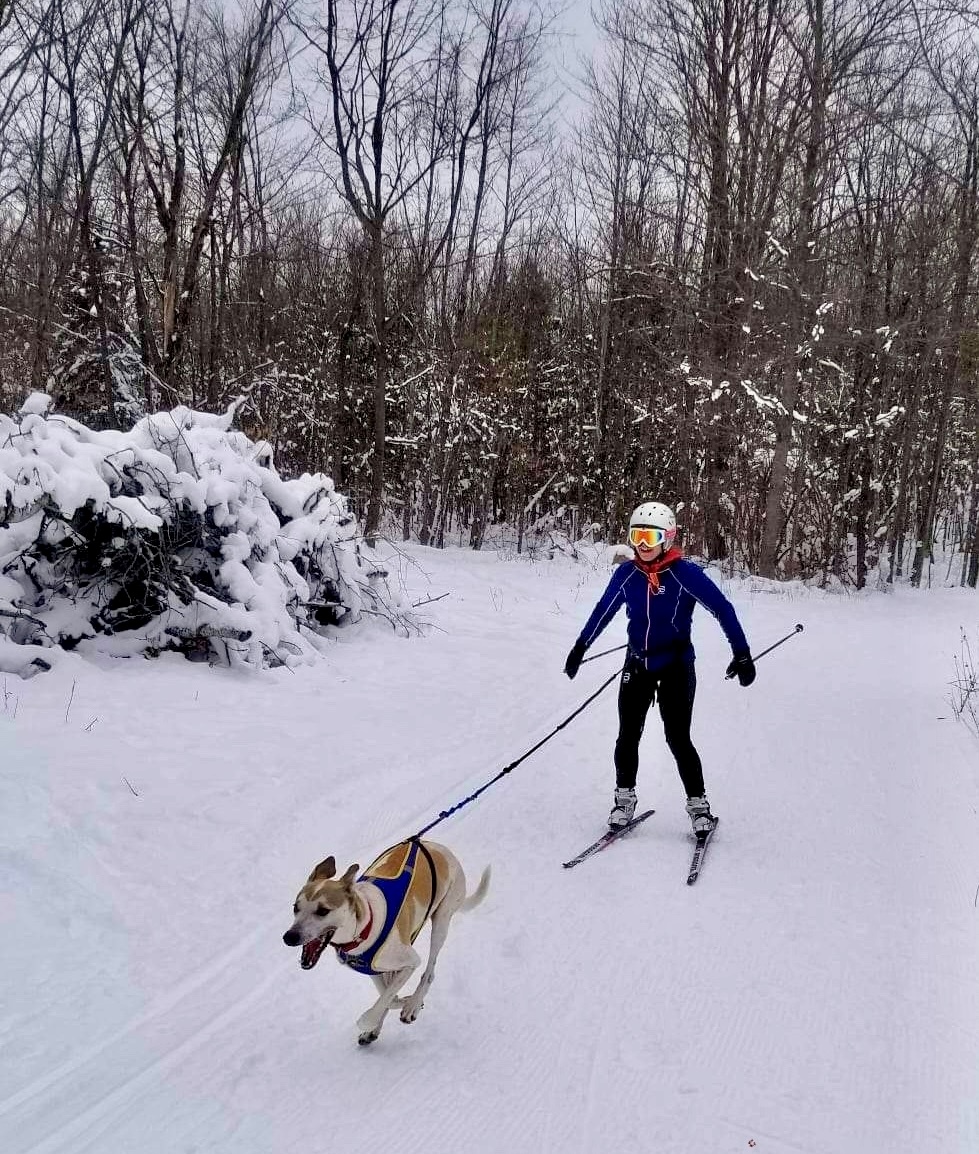 Skijoring at Track 52
