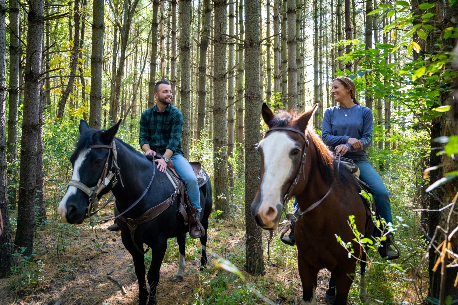 Couple riding horses on the trails.