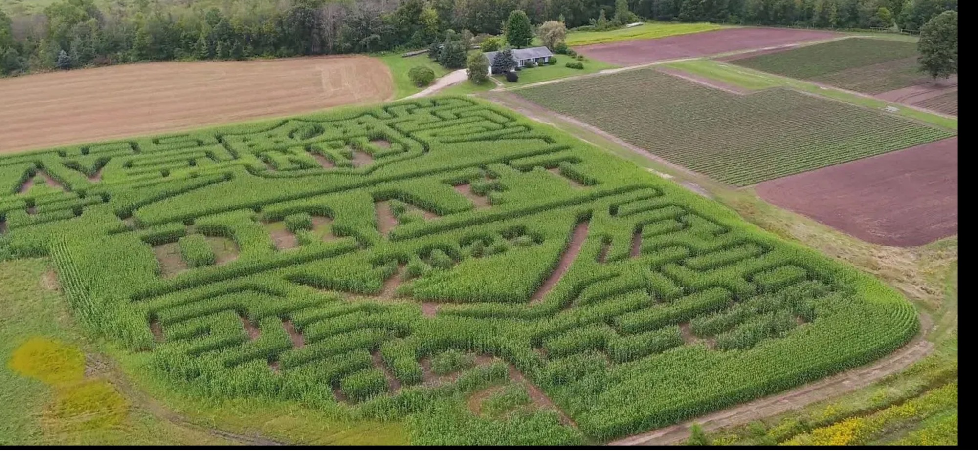 NEW!!! NFL themed corn maze.