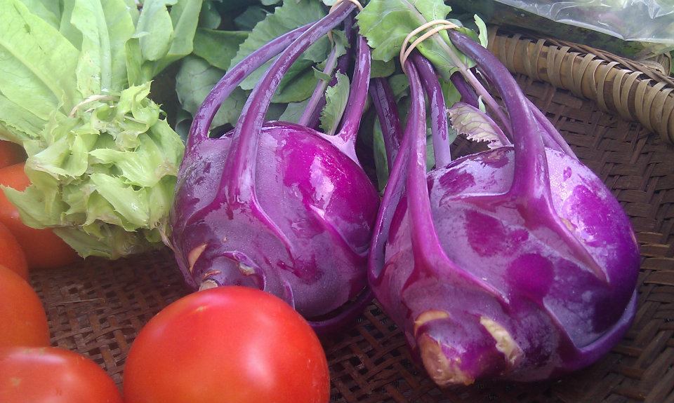 Farmers Market Spring Green, WI Travel Wisconsin