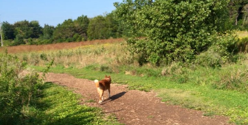 Prairie Moraine Dog Park