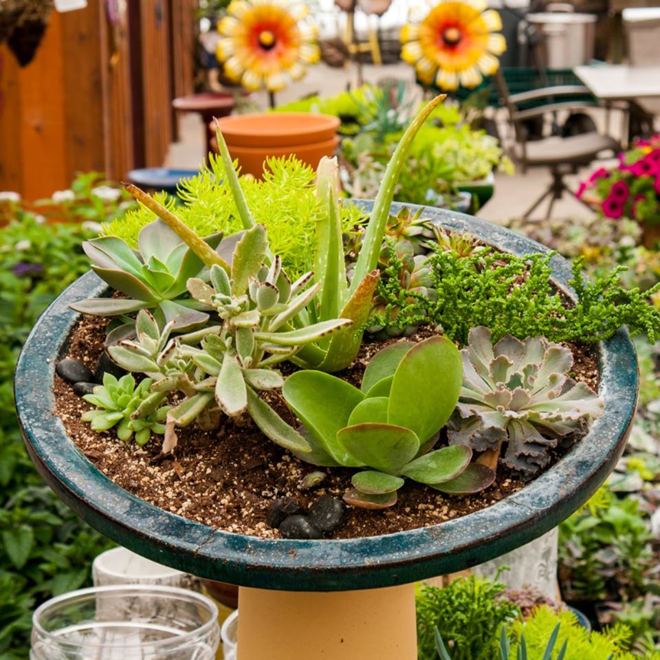 Colonial Nursery Travel Wisconsin