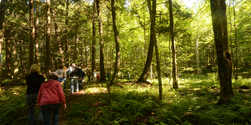 Photo Courtesy of Joshua Mayer