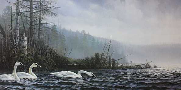 &quot;Swan Lake&quot; by Don Kloetzke