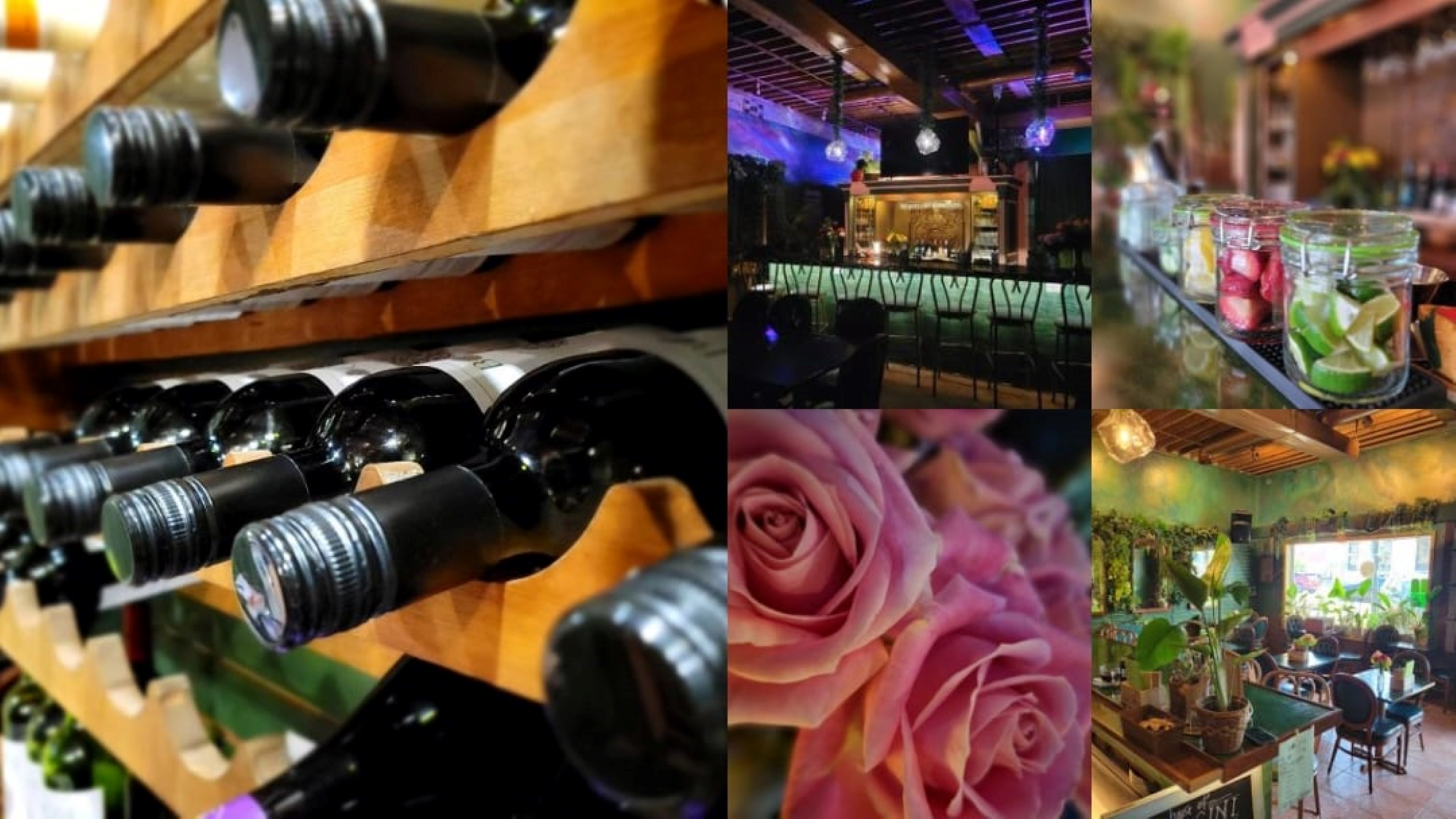 Wine selection at House of Bogini