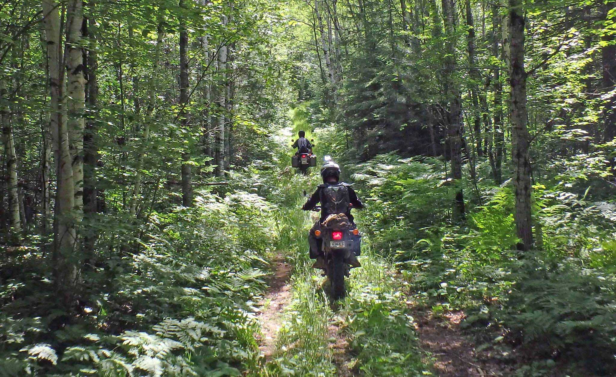 Enjoying the wondrous scenery and wildlife along one of the GPS guided ride routes.