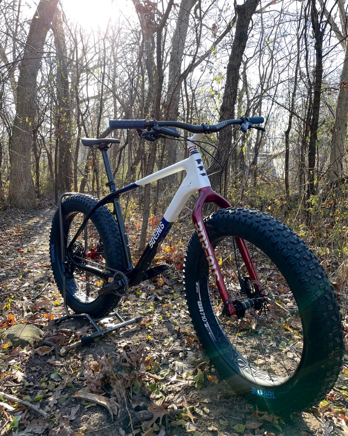 Bike to rent or buy at Avant Cycles