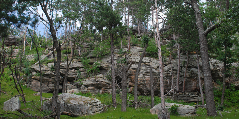 Photo Courtesy of Joshua Mayer