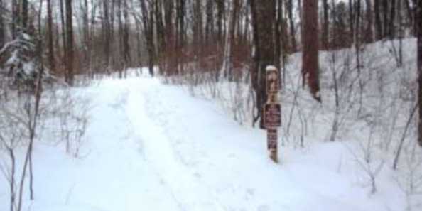 Snowshoeing trail at Almon Park