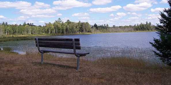 Governor Thompson State Park Woods Lake Bench