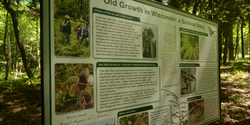 Photo Courtesy of Joshua Mayer