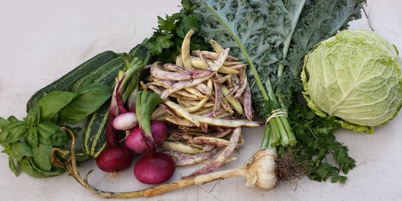 Campo di Bella: Food CSA &amp; Farm-to-Table Services.