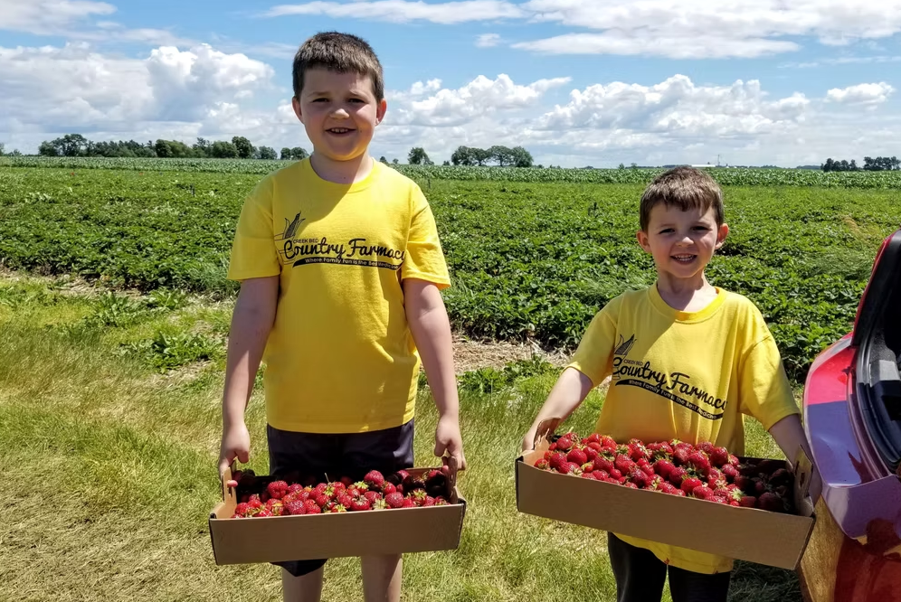 Creek Bed Farmacy Strawberries