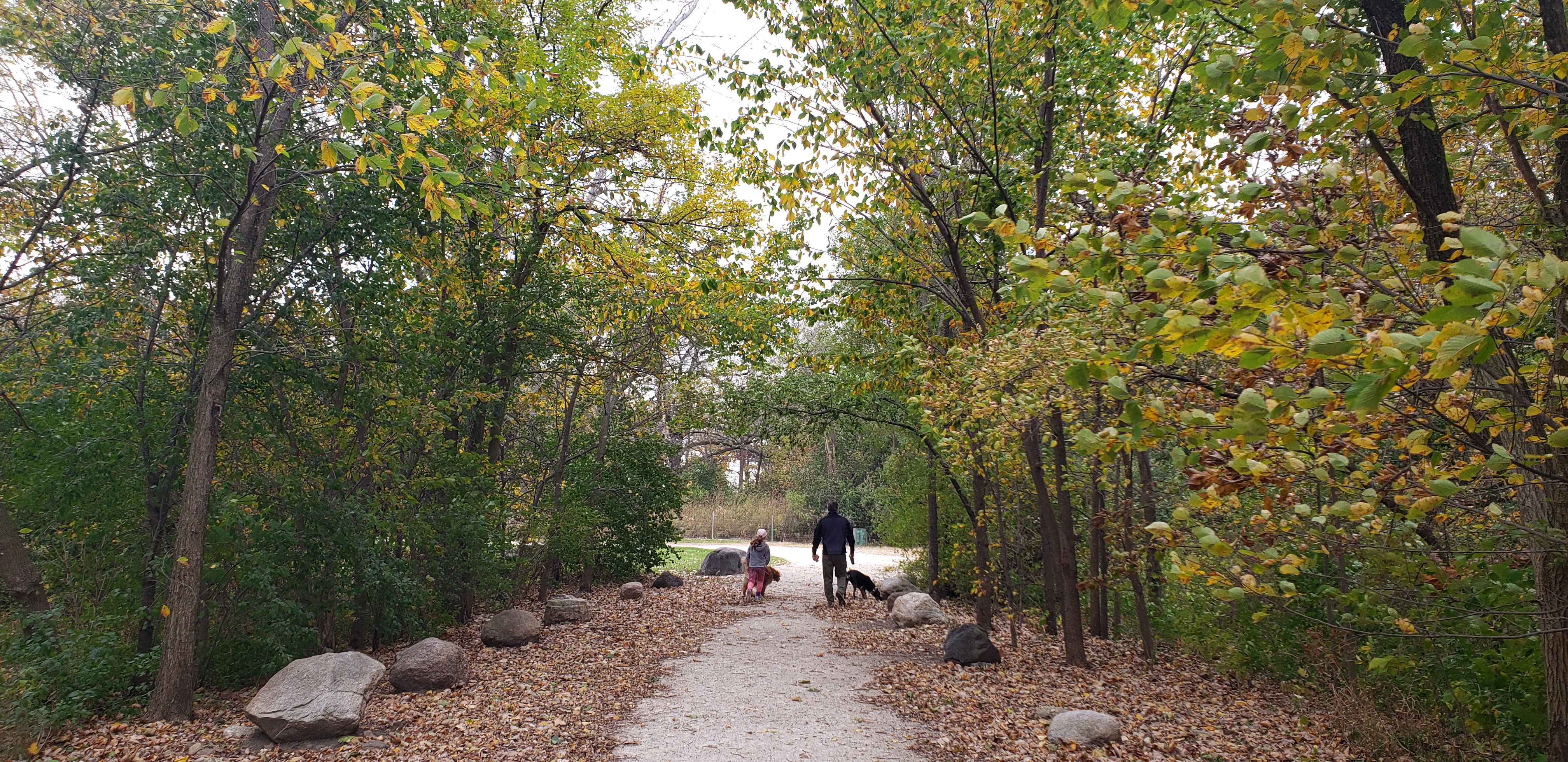 Entrance to Prairie Farms Trail in Prairie Springs Park