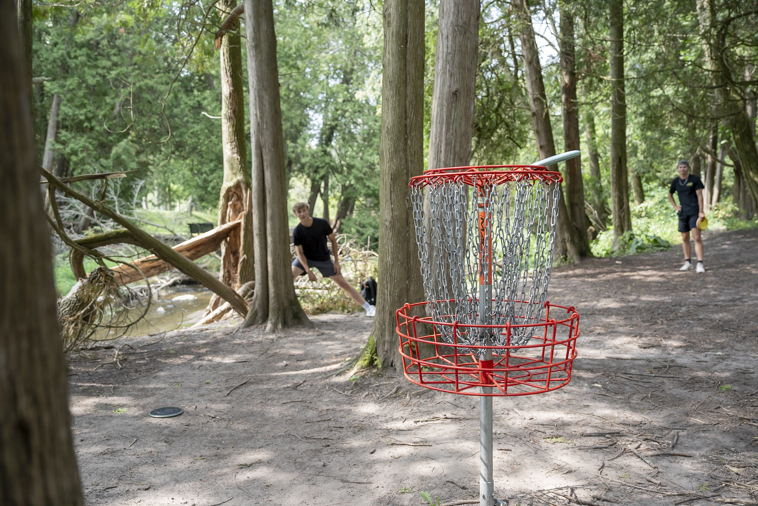 boy throwing frisbee into goal at Silver Creek Park