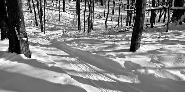 Groomed trails