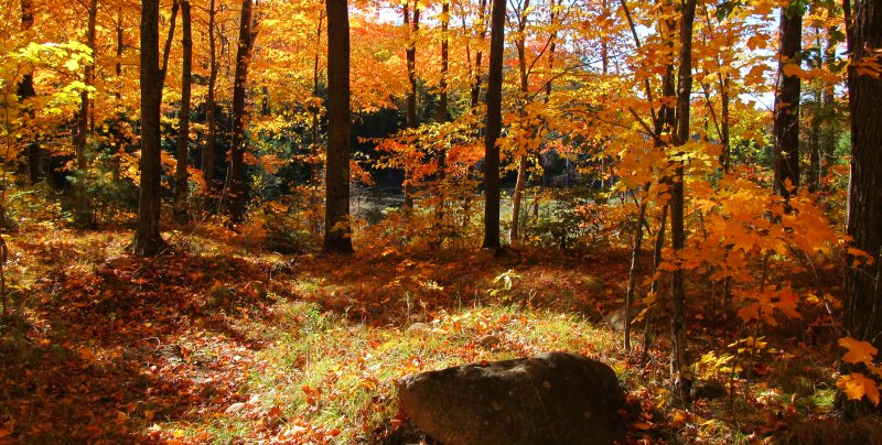 High Point Trail at Timm's Hill County Park