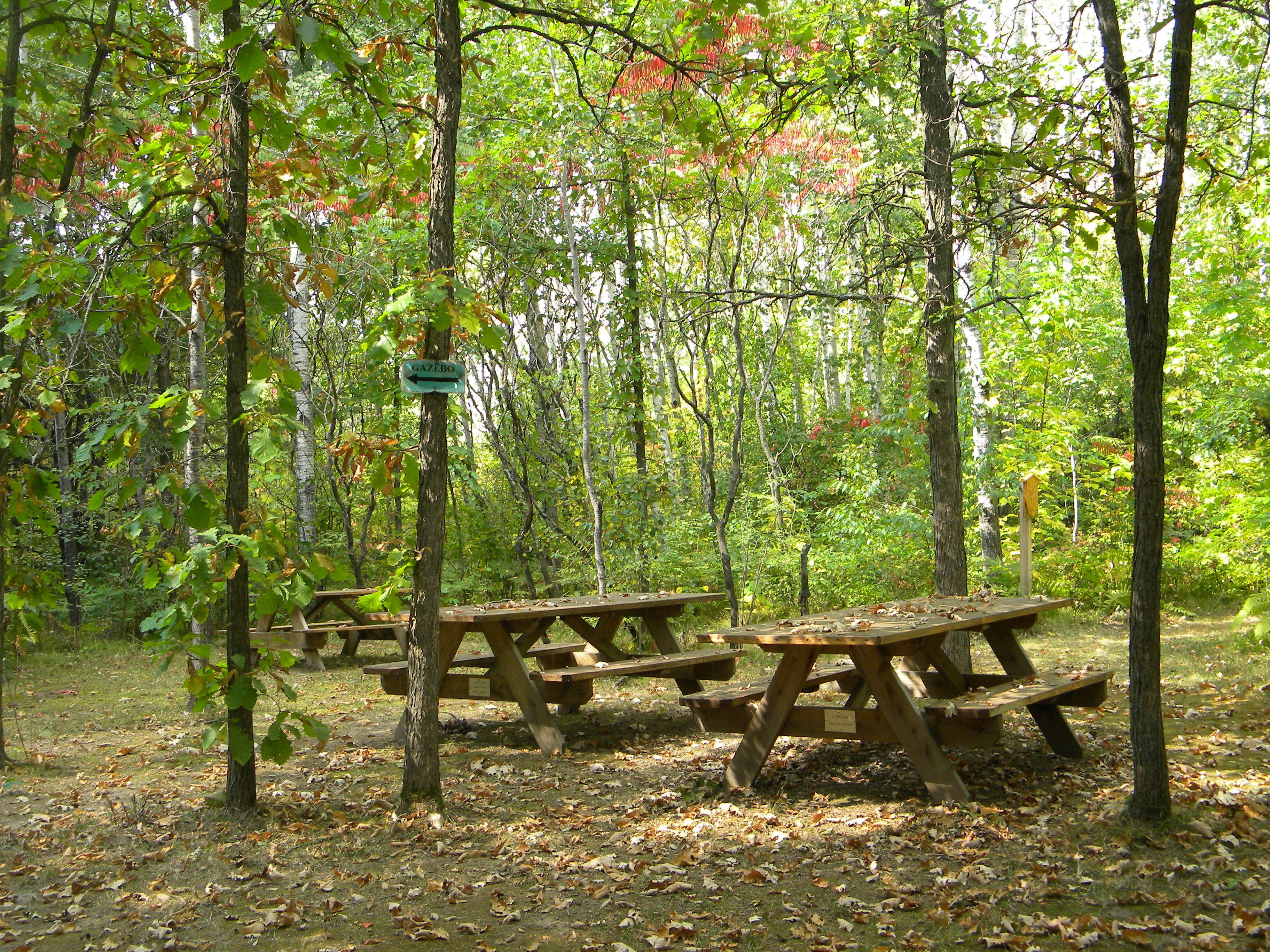 Picnic Area at Stone Lake Wetland Park